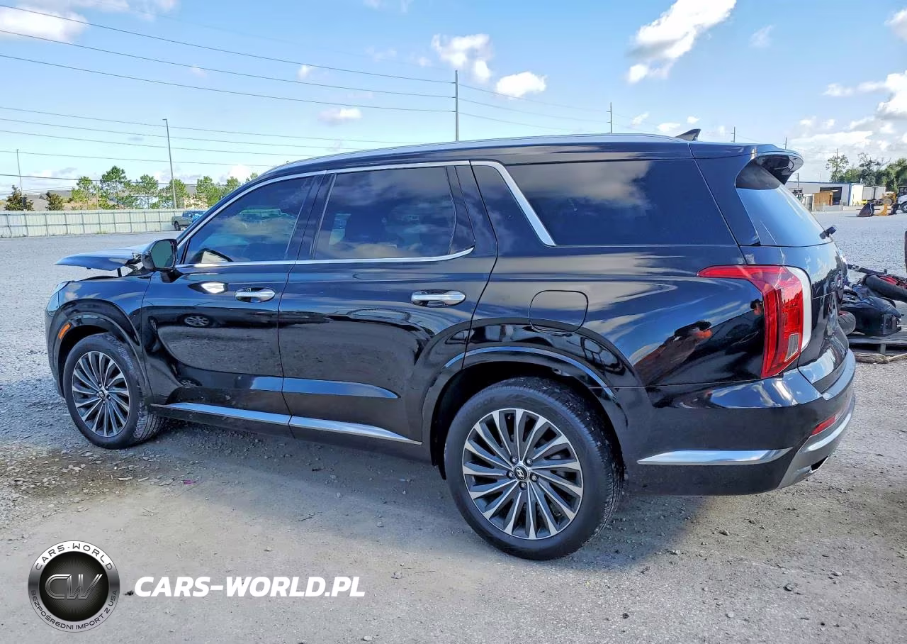 2024 Hyundai Palisade Calligraphy VIN:KM8R7DGE6RU698658 - 2