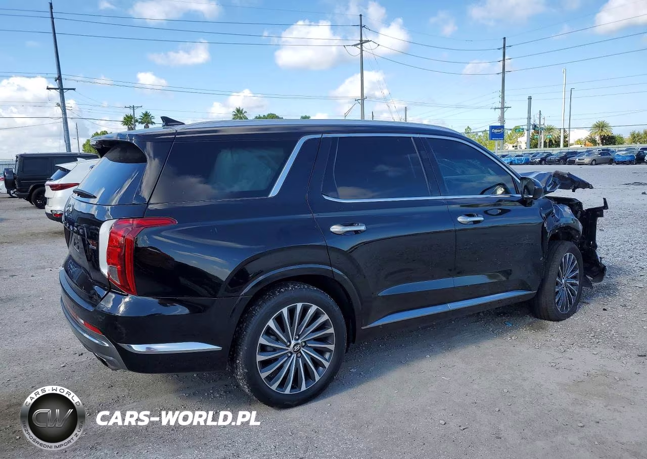 2024 Hyundai Palisade Calligraphy VIN:KM8R7DGE6RU698658 - 3