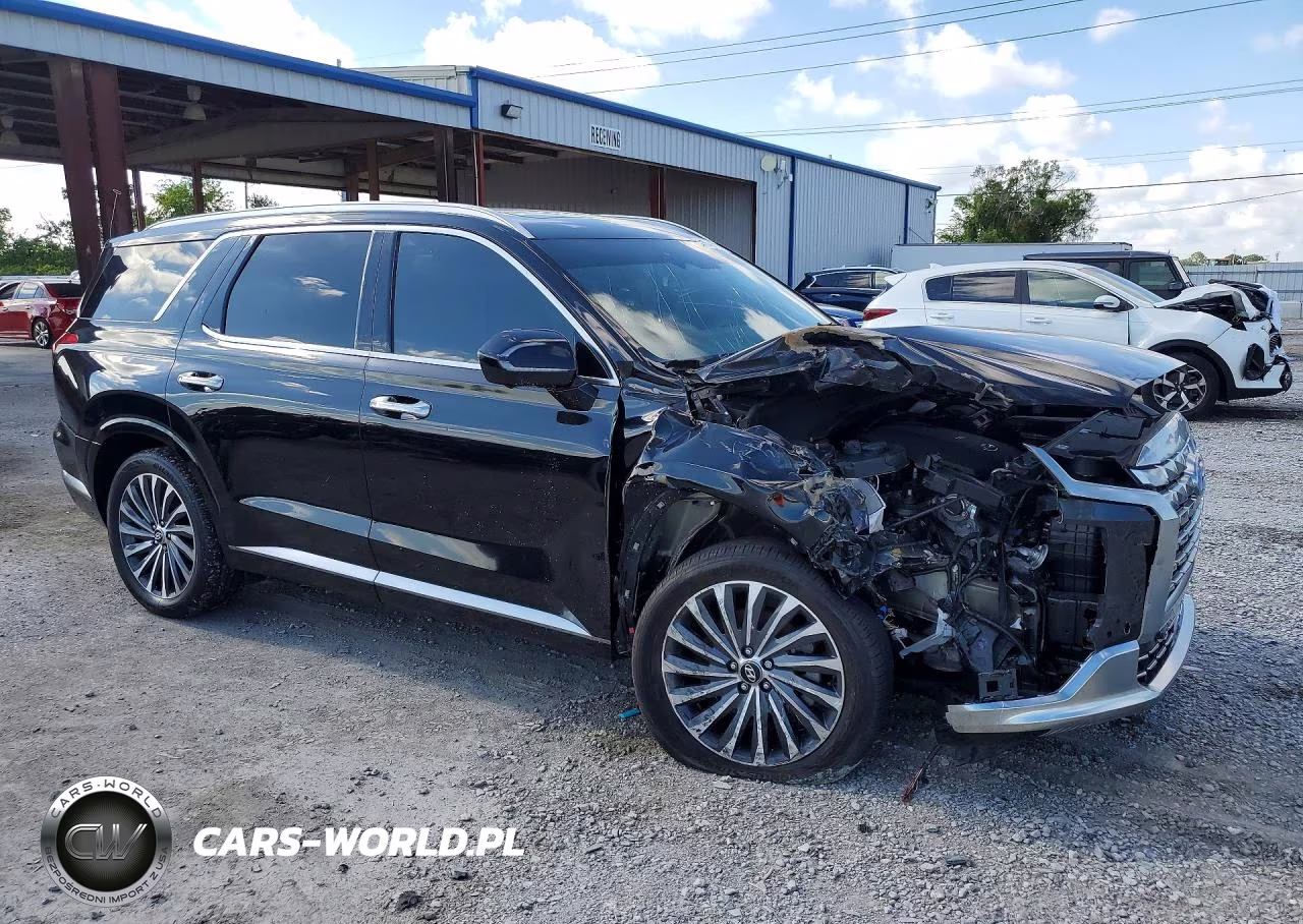 2024 Hyundai Palisade Calligraphy VIN:KM8R7DGE6RU698658 - 4