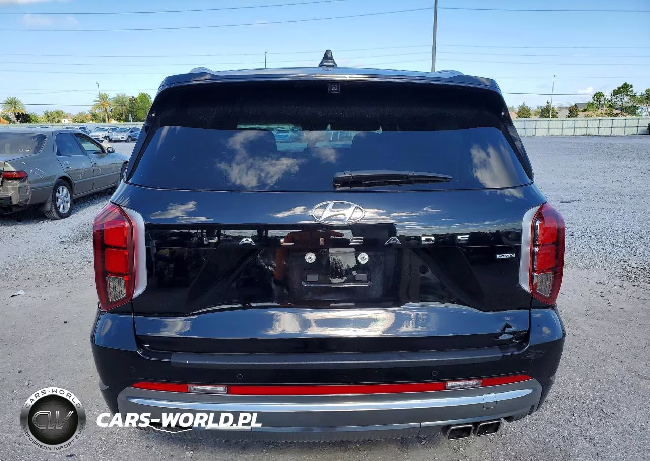 2024 Hyundai Palisade Calligraphy VIN:KM8R7DGE6RU698658 - 6