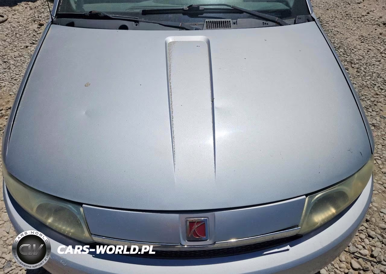 2003 Saturn Ion Level 1 VIN:1G8AG52F33Z116012 - 11