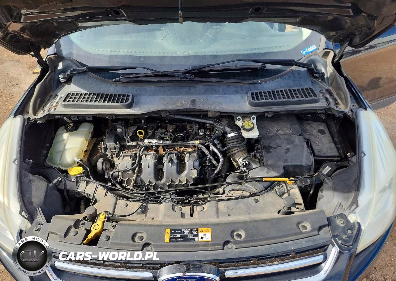 2016 Ford Escape Titanium VIN:1FMCU9J95GUB65561 - 11