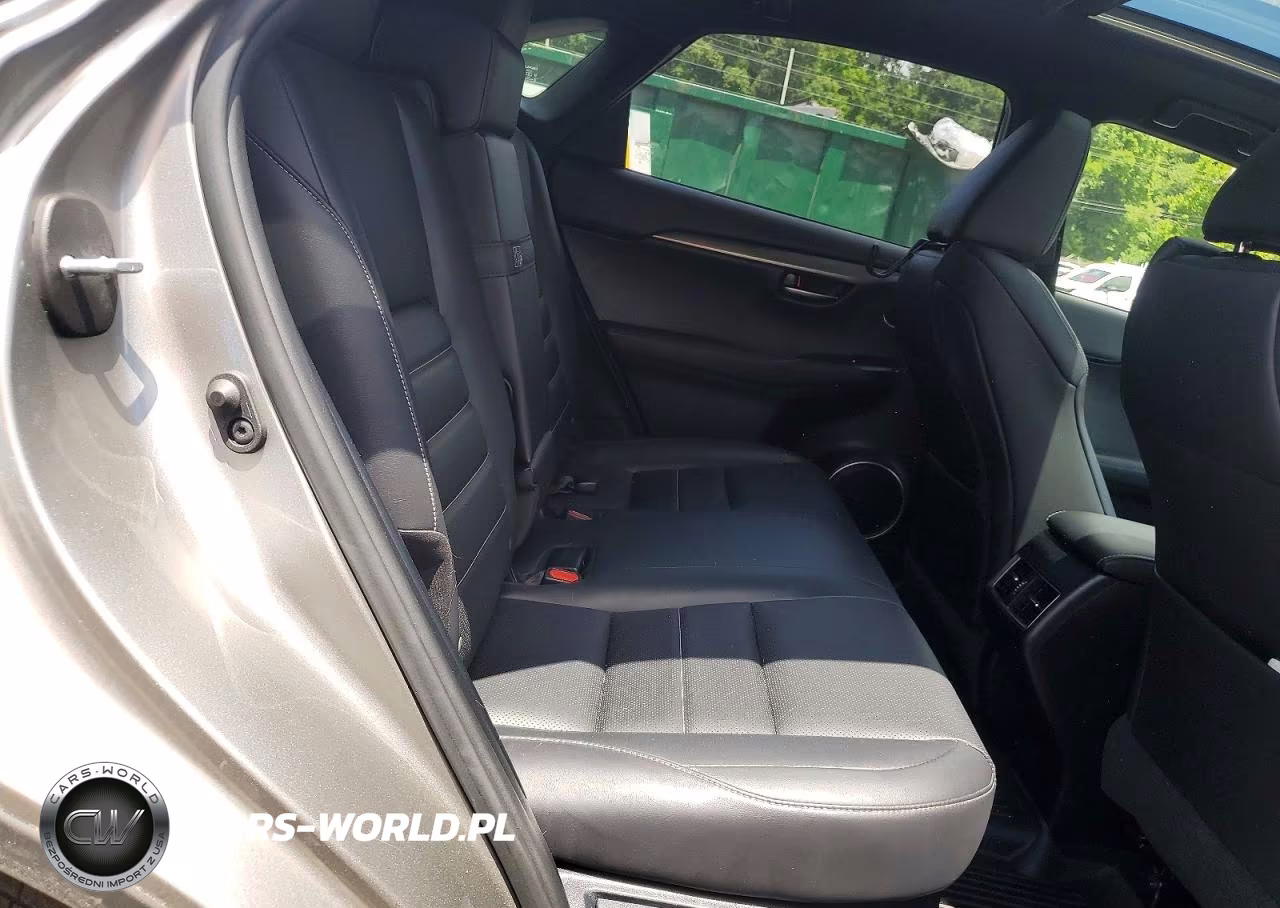 2018 Lexus Nx 300 F Sport VIN:JTJBARBZ0J2156256 - 10