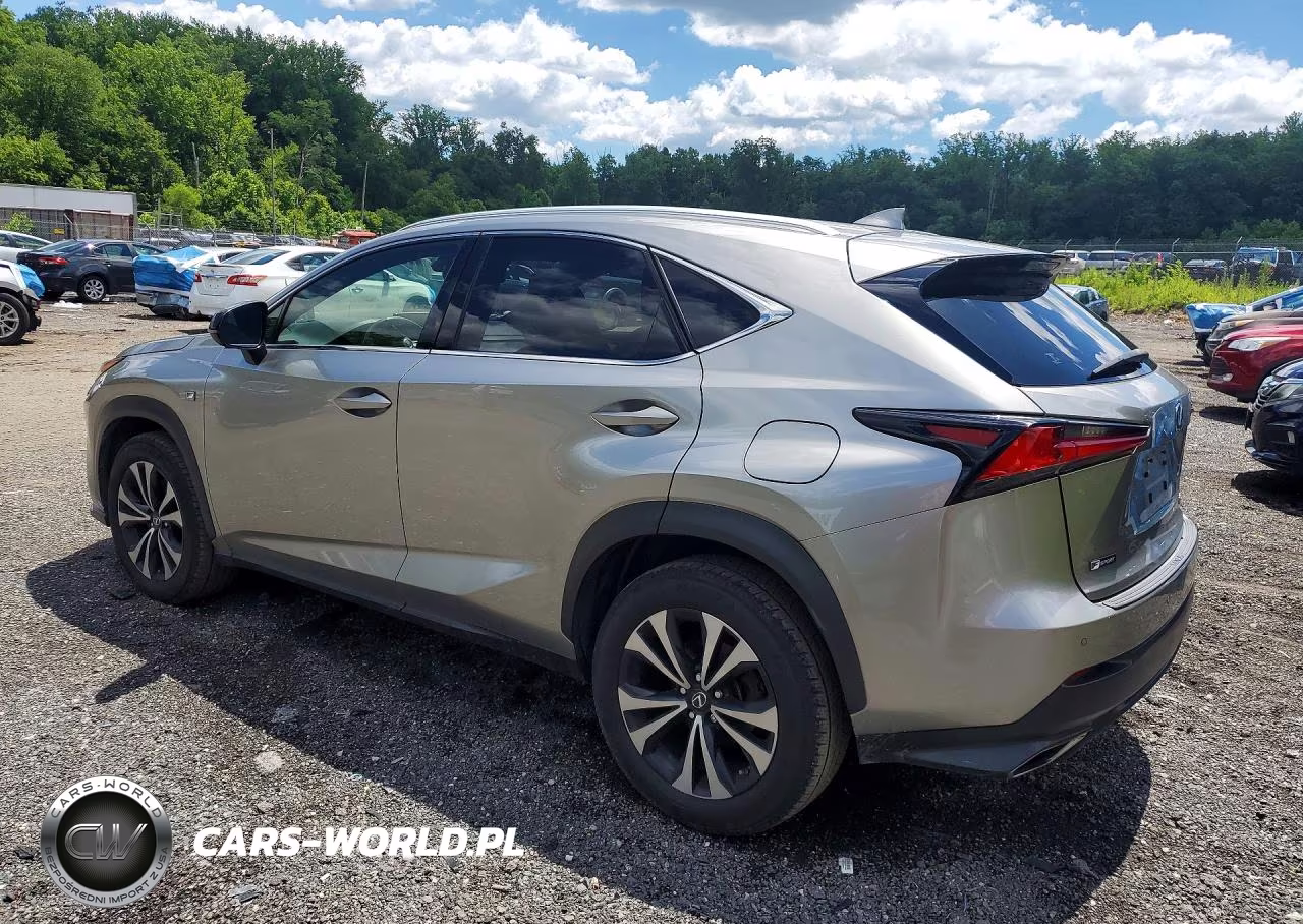 2018 Lexus Nx 300 F Sport VIN:JTJBARBZ0J2156256 - 2