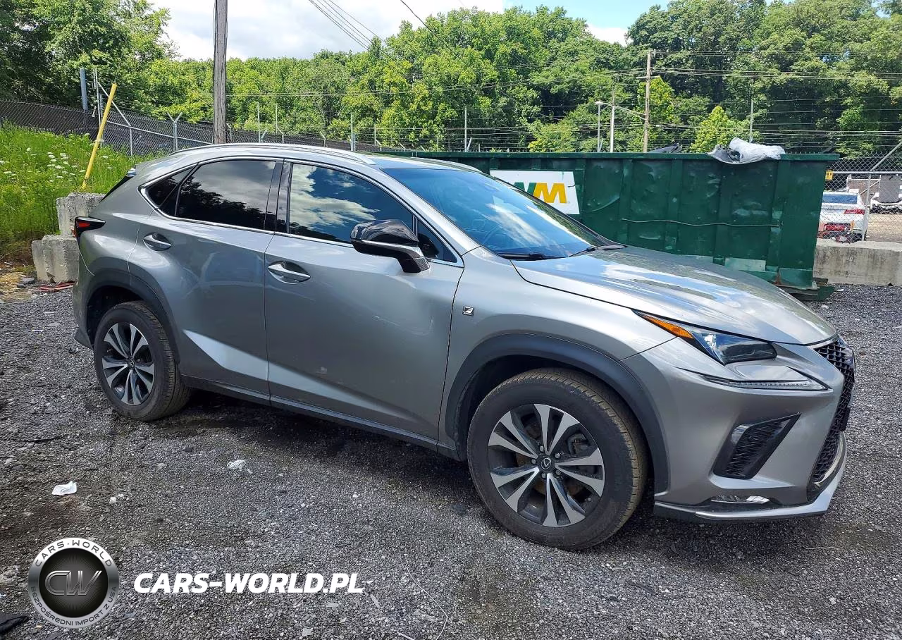 2018 Lexus Nx 300 F Sport VIN:JTJBARBZ0J2156256 - 4