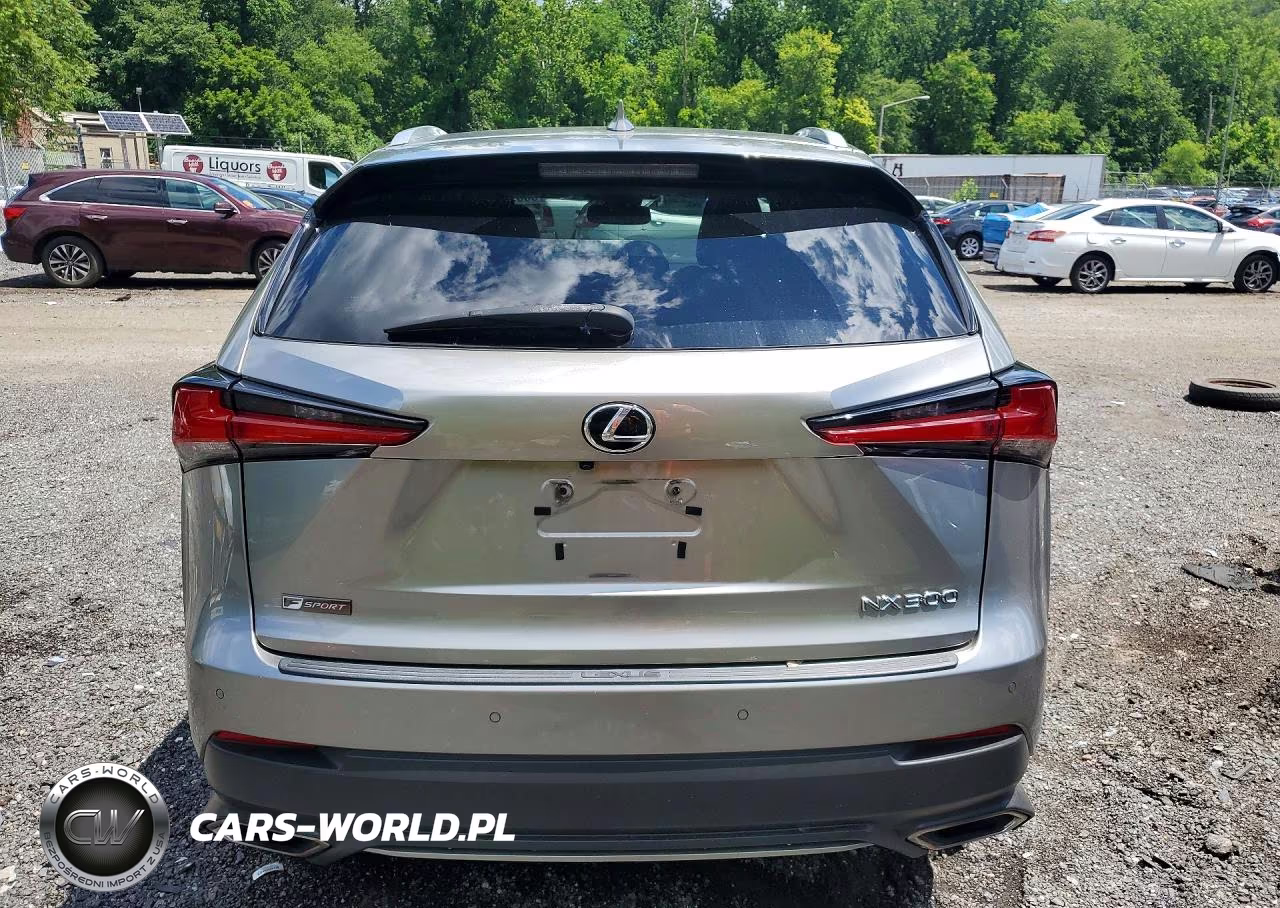 2018 Lexus Nx 300 F Sport VIN:JTJBARBZ0J2156256 - 6