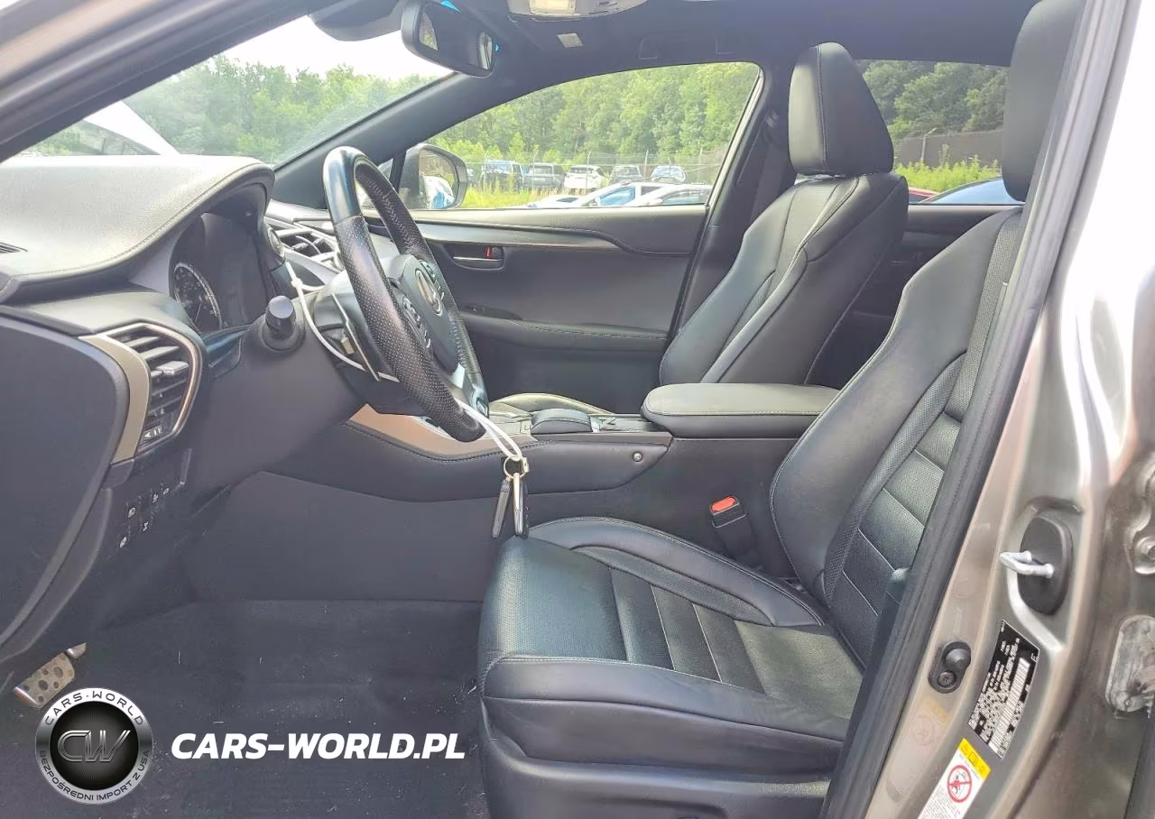2018 Lexus Nx 300 F Sport VIN:JTJBARBZ0J2156256 - 7