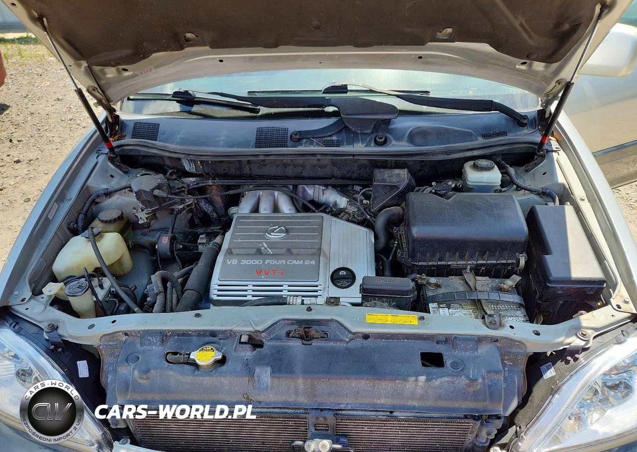 2001 Lexus Rx 300 VIN:JTJGF10U410084196 - 12