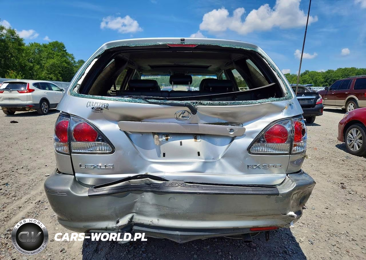 2001 Lexus Rx 300 VIN:JTJGF10U410084196 - 6