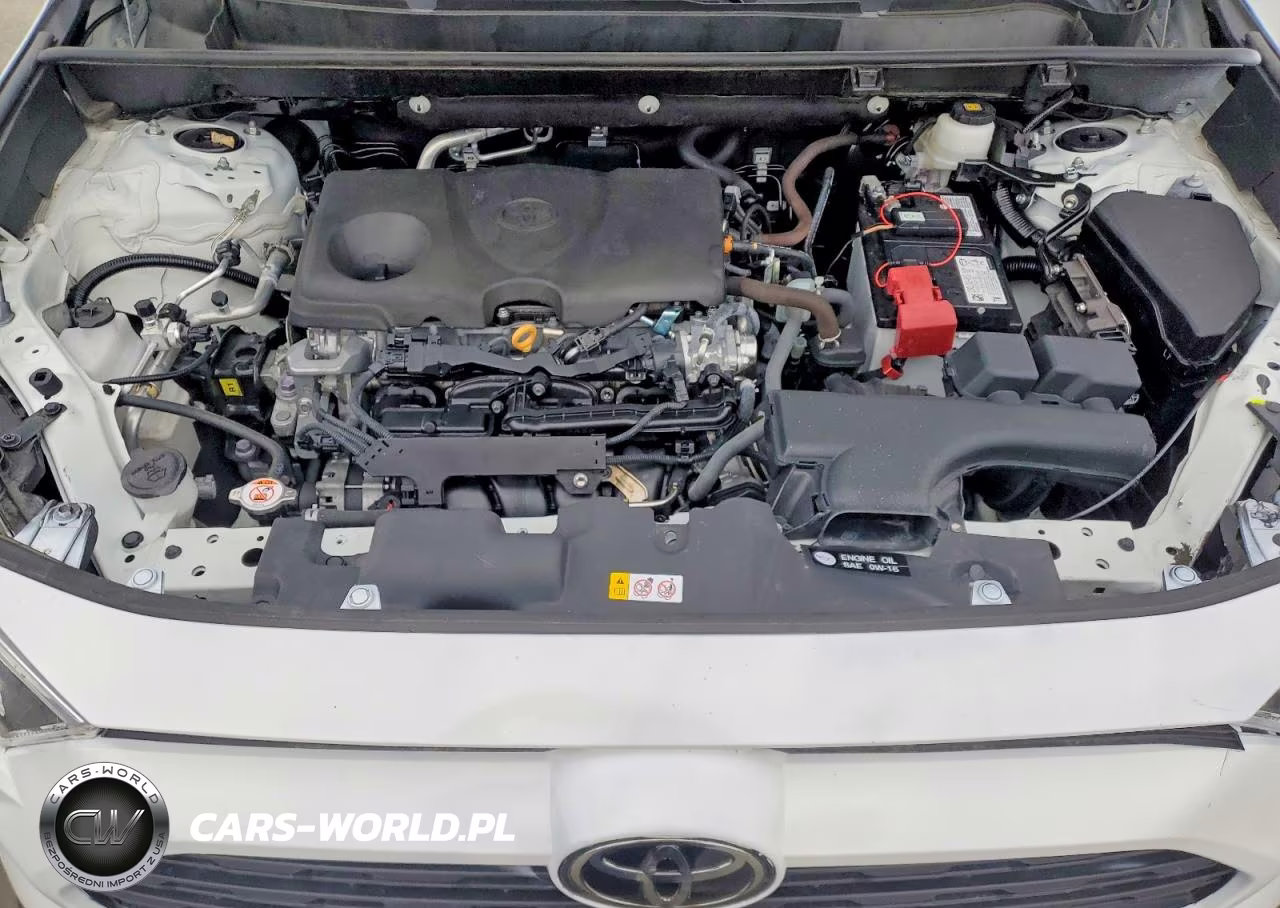 2024 Toyota Rav4 Xle VIN:2T3W1RFV0RC291091 - 12