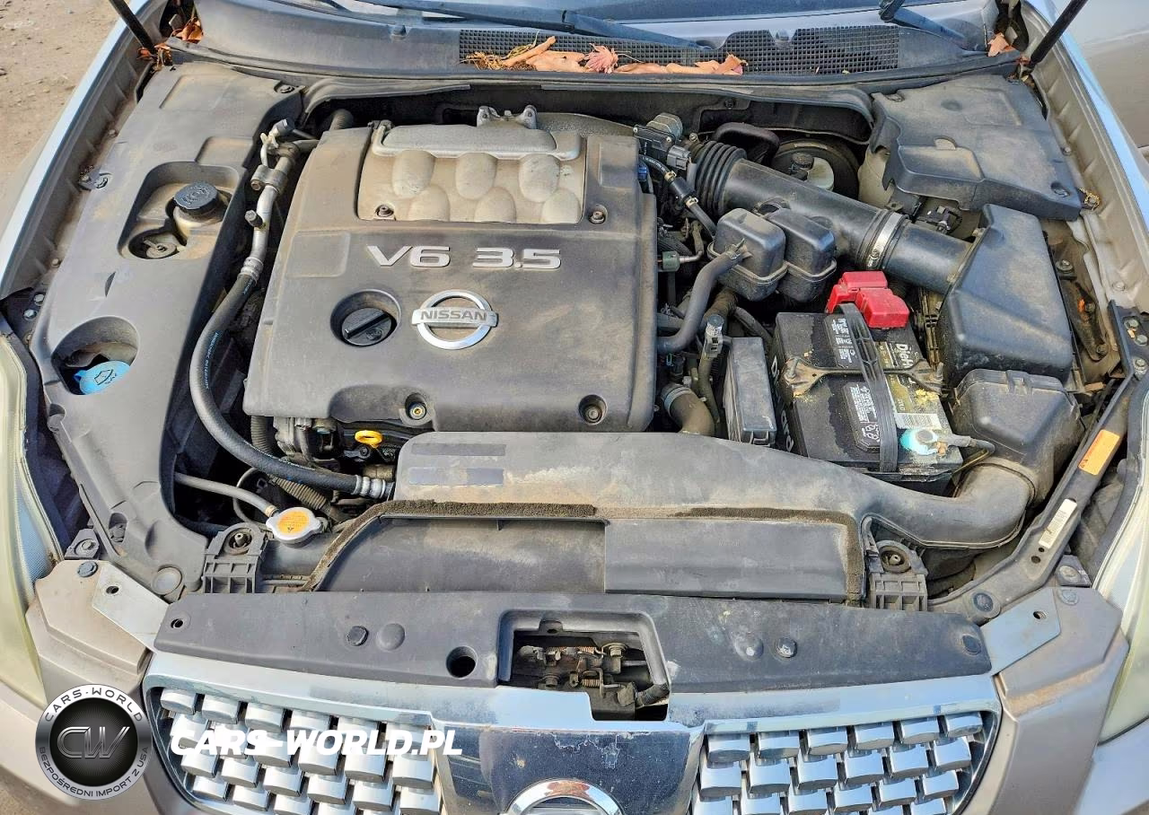 2006 Nissan Maxima 3.5 Se VIN:1N4BA41E86C855386 - 11