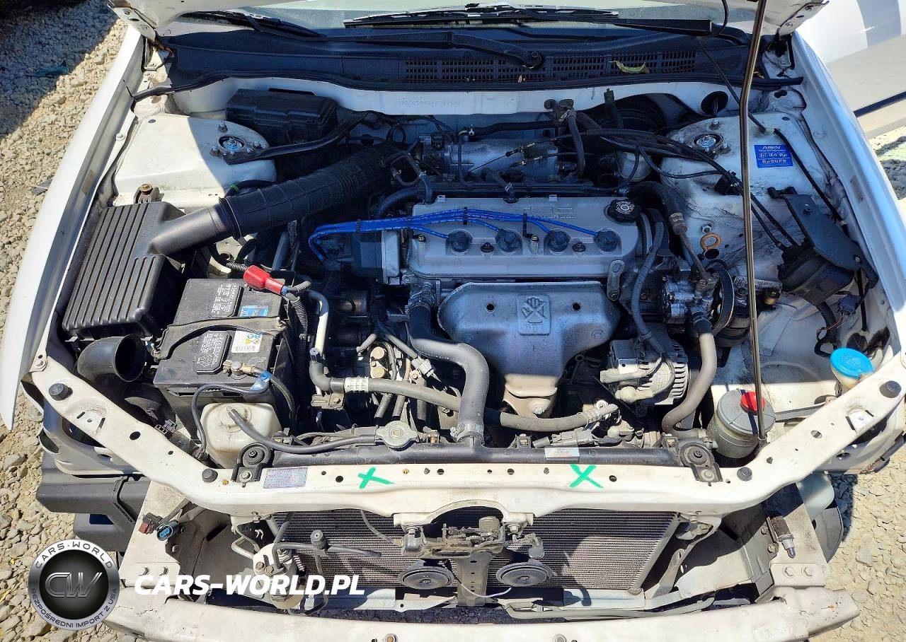 1998 Honda Accord Lx VIN:1HGCG5648WA149938 - 11