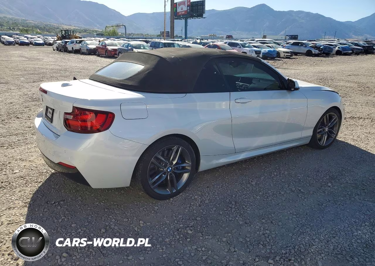 2015 BMW 228 I VIN:WBA1K5C51FV473885 - 3