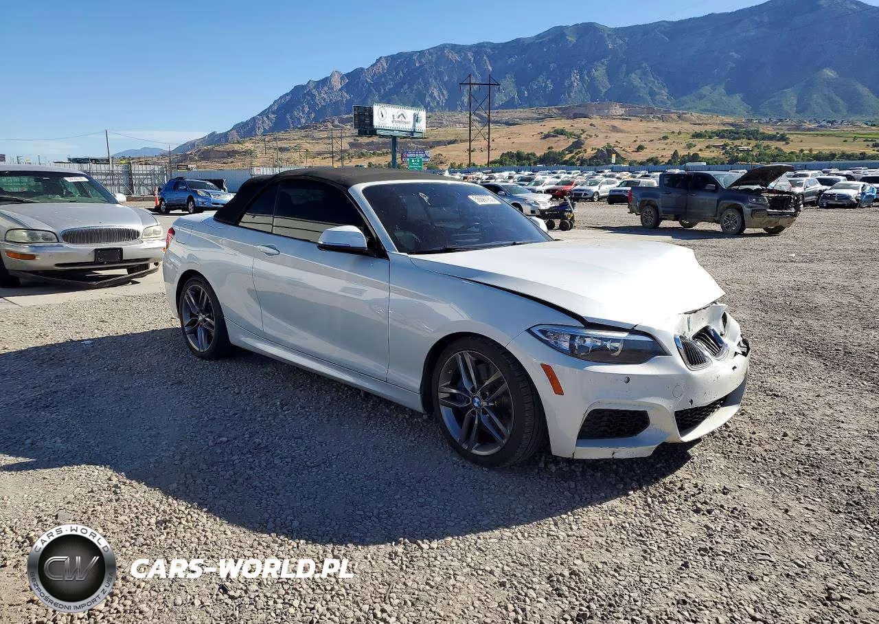 2015 BMW 228 I VIN:WBA1K5C51FV473885 - 4