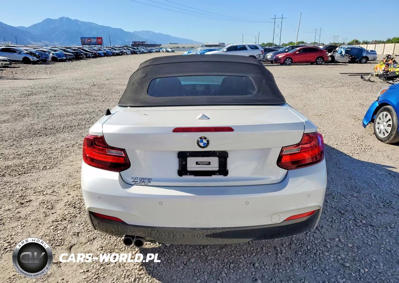 2015 BMW 228 I VIN:WBA1K5C51FV473885 - 6