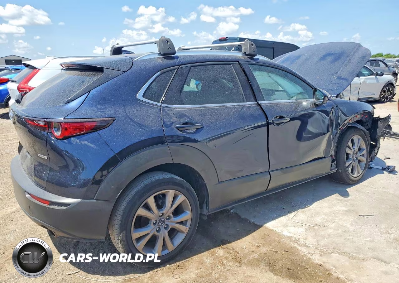 2020 Mazda Cx-30 Premium VIN:3MVDMAEM4LM116552 - 3