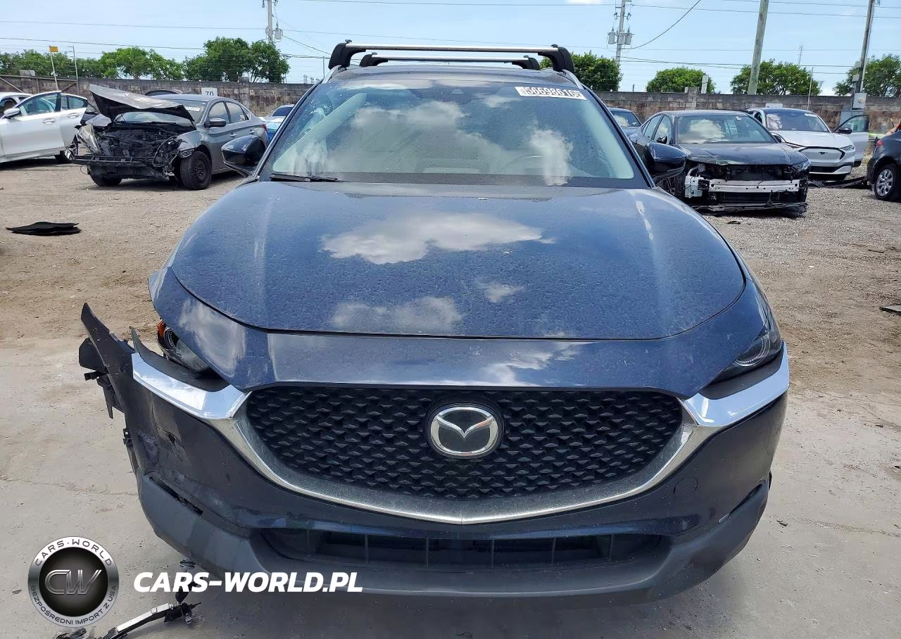 2020 Mazda Cx-30 Premium VIN:3MVDMAEM4LM116552 - 5
