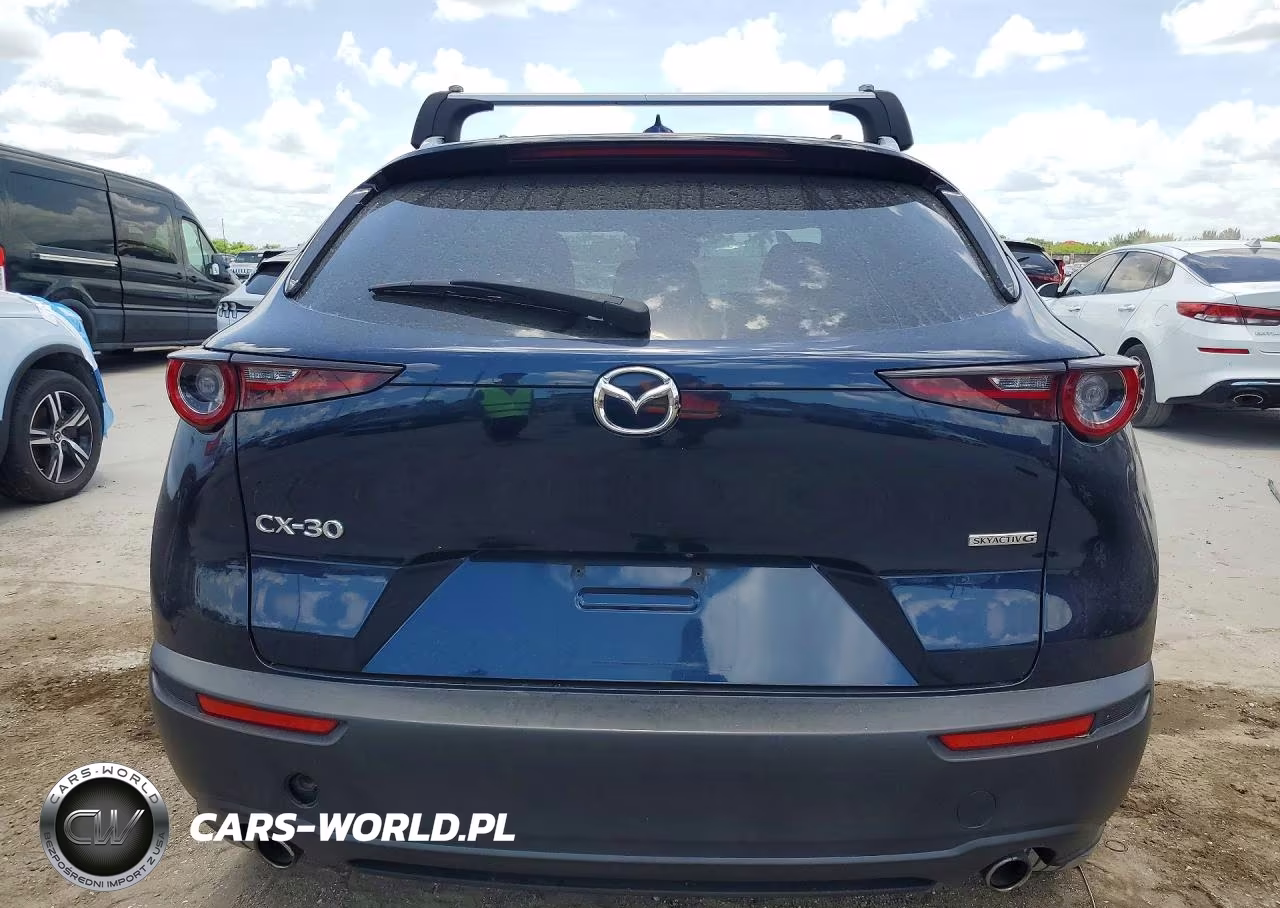 2020 Mazda Cx-30 Premium VIN:3MVDMAEM4LM116552 - 6