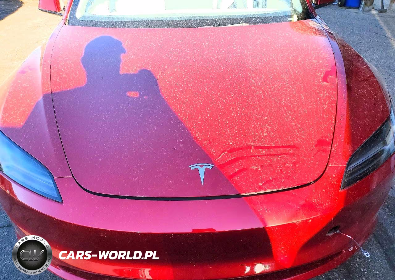 2025 Tesla Model 3 VIN:5YJ3E1EB6SF921528 - 11