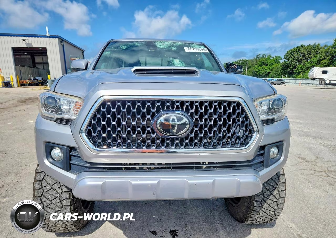 2019 Toyota Tacoma Trd Sport VIN:5TFCZ5ANXKX168359 - 5