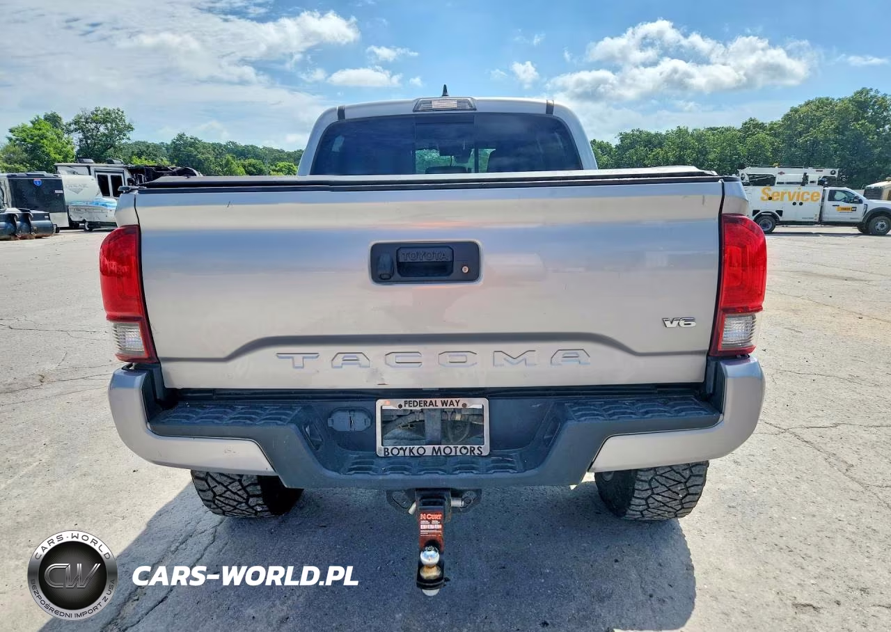 2019 Toyota Tacoma Trd Sport VIN:5TFCZ5ANXKX168359 - 6