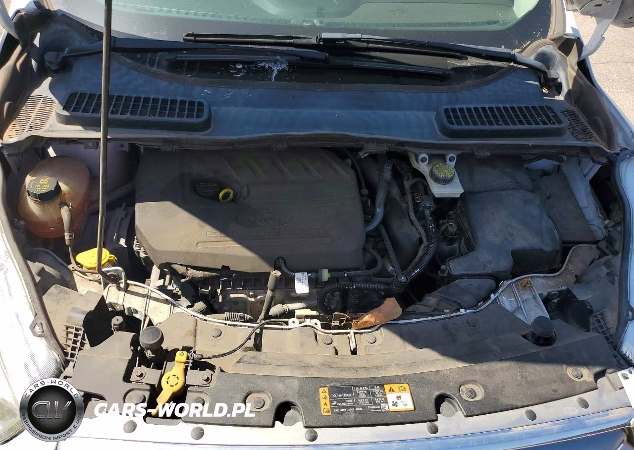 2017 Ford Escape Se VIN:1FMCU0GD5HUA29911 - 12
