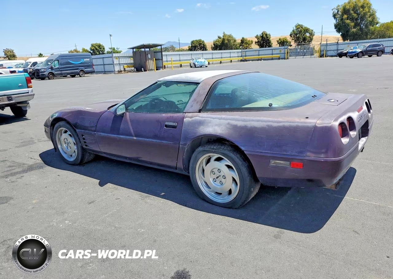 1993 Chevrolet Corvette VIN:1G1YY23P5P5102917 - 2