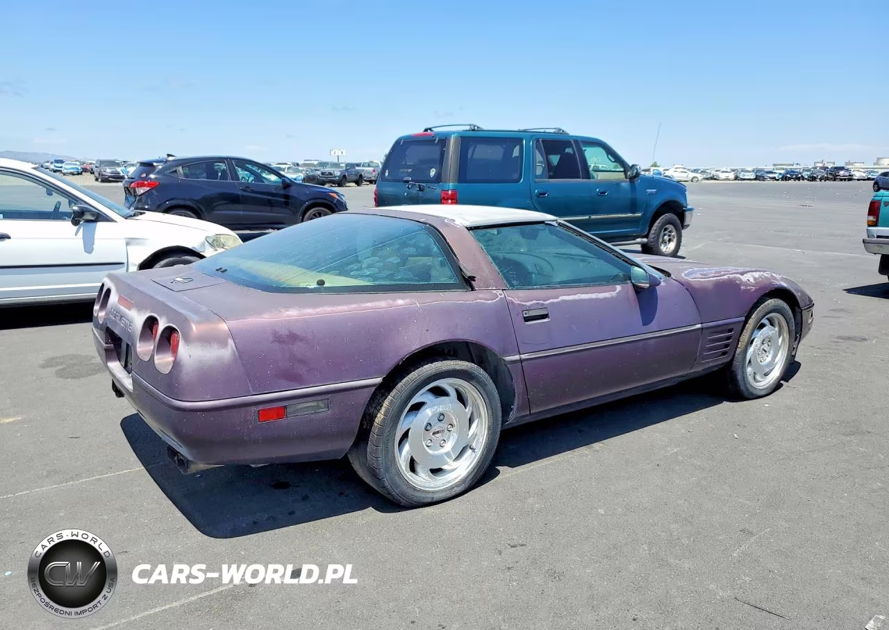 1993 Chevrolet Corvette VIN:1G1YY23P5P5102917 - 3