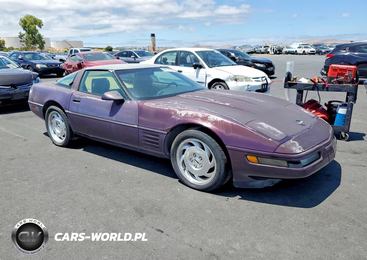 1993 Chevrolet Corvette VIN:1G1YY23P5P5102917 - 4