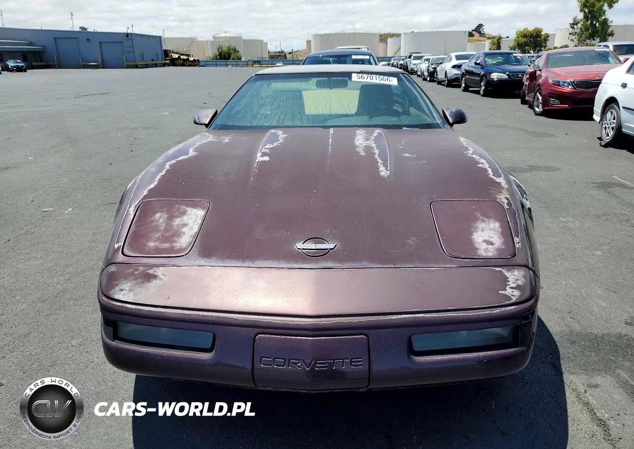 1993 Chevrolet Corvette VIN:1G1YY23P5P5102917 - 5