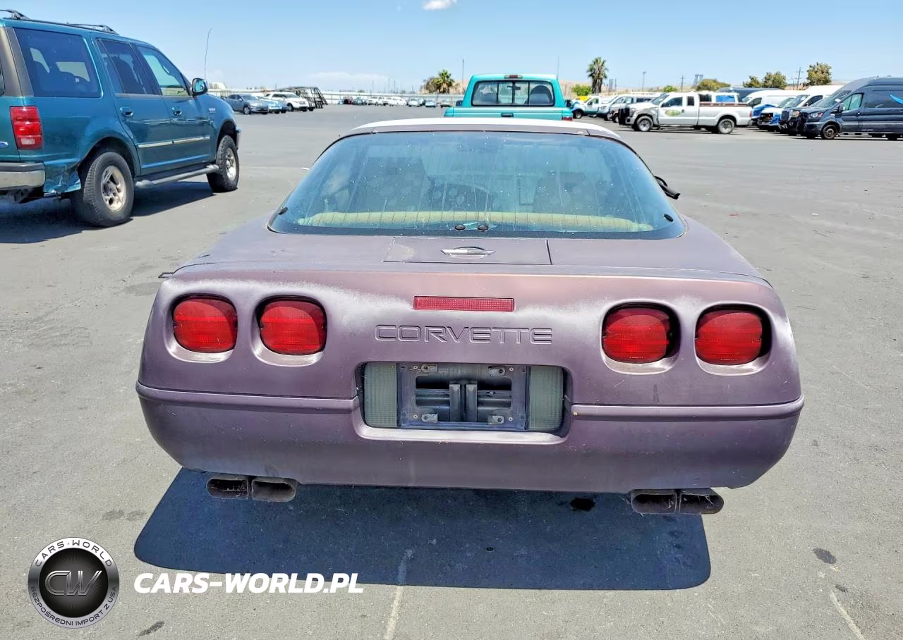 1993 Chevrolet Corvette VIN:1G1YY23P5P5102917 - 6