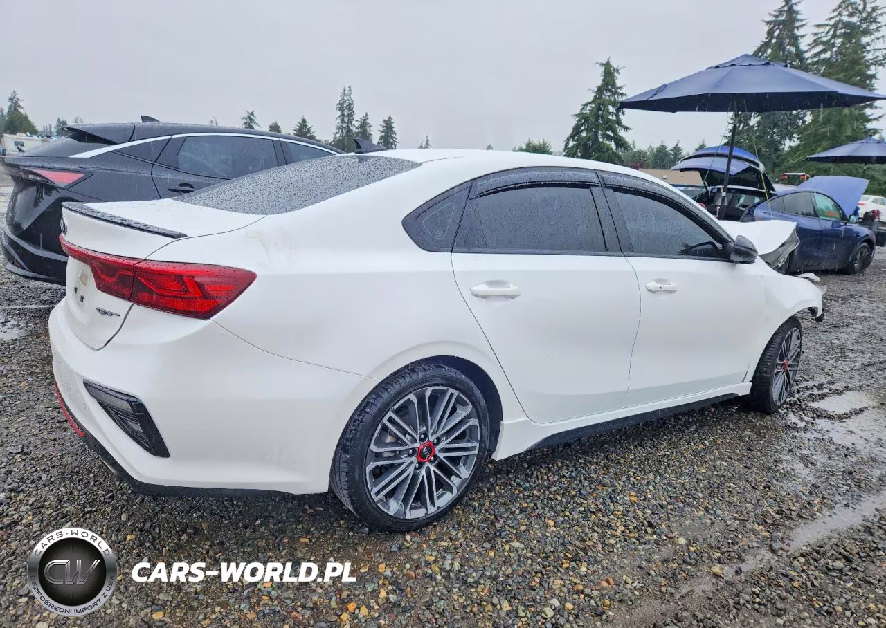 2021 Kia Forte Gt VIN:3KPF44AC8ME346499 - 3