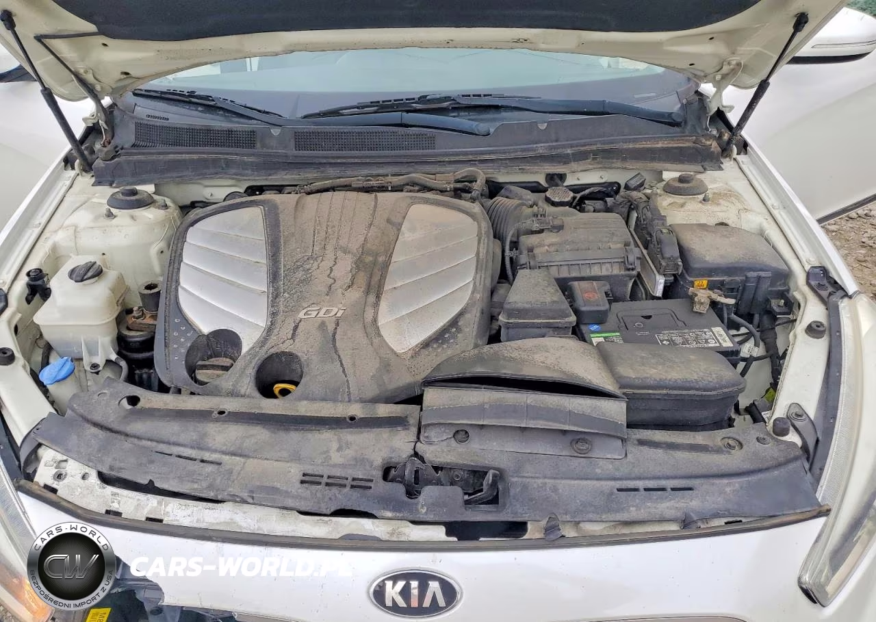 2015 Kia Cadenza Premium VIN:KNALN4D79F5173991 - 11