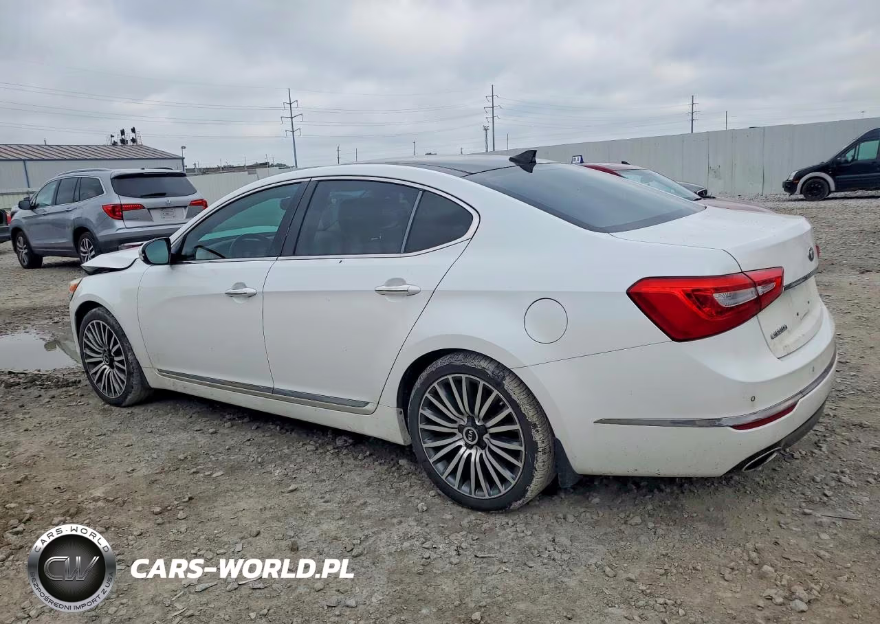2015 Kia Cadenza Premium VIN:KNALN4D79F5173991 - 2