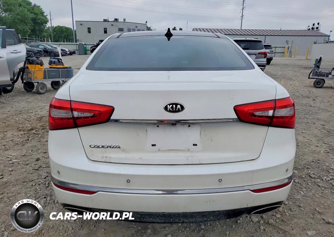 2015 Kia Cadenza Premium VIN:KNALN4D79F5173991 - 6