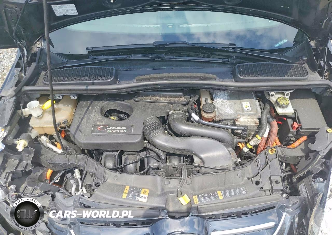 2013 Ford C-Max Premium VIN:1FADP5CU4DL519295 - 12