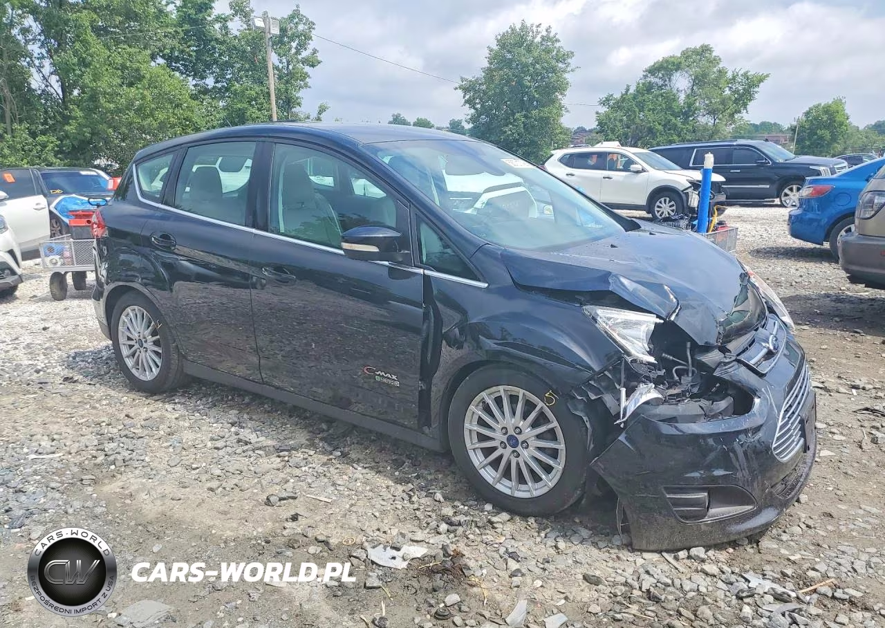 2013 Ford C-Max Premium VIN:1FADP5CU4DL519295 - 4