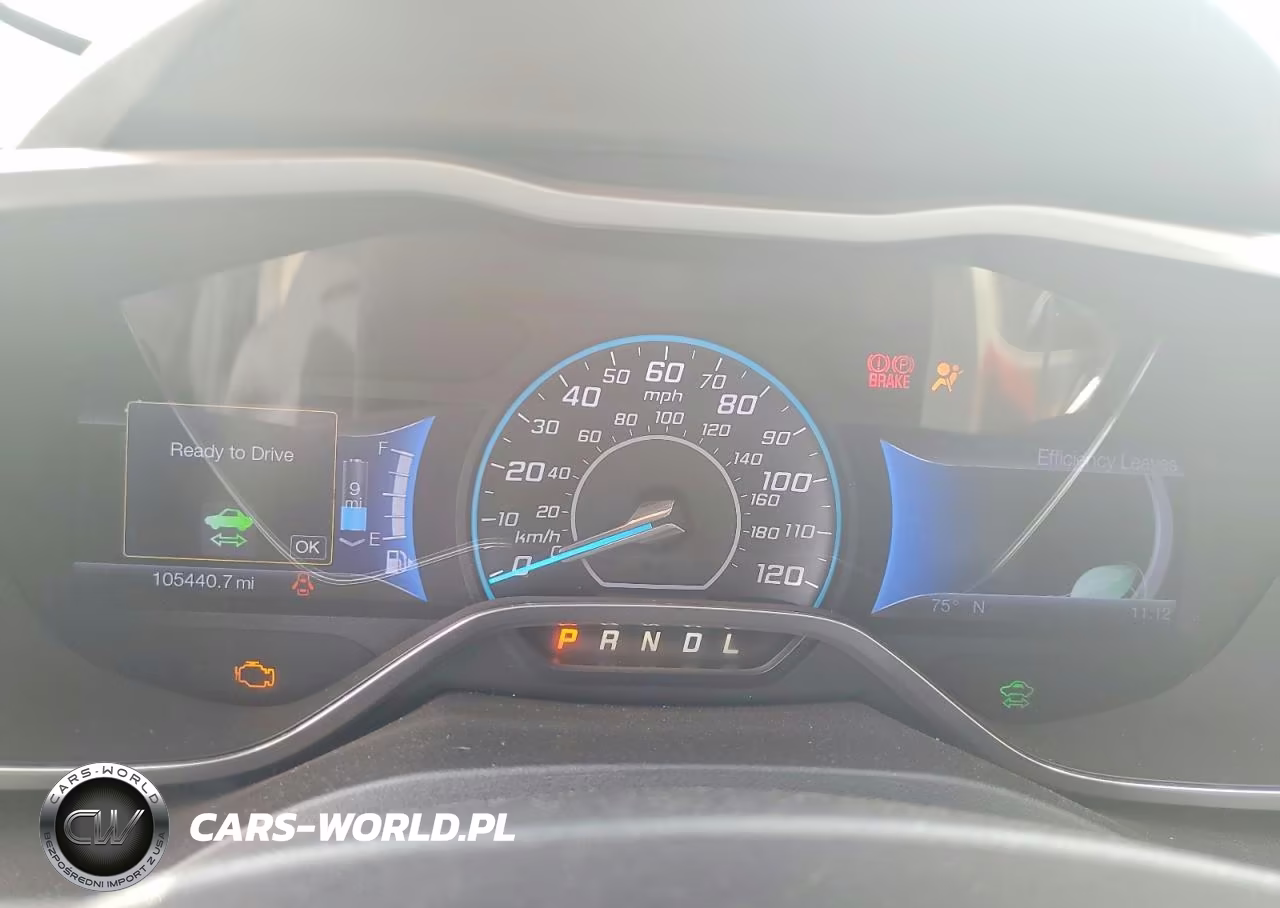 2013 Ford C-Max Premium VIN:1FADP5CU4DL519295 - 9