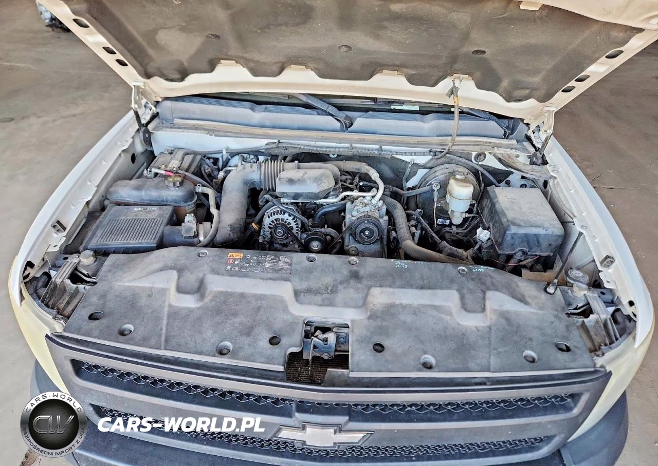 2011 Chevrolet Silverado C1500 VIN:1GCNCPEX2BZ465020 - 11