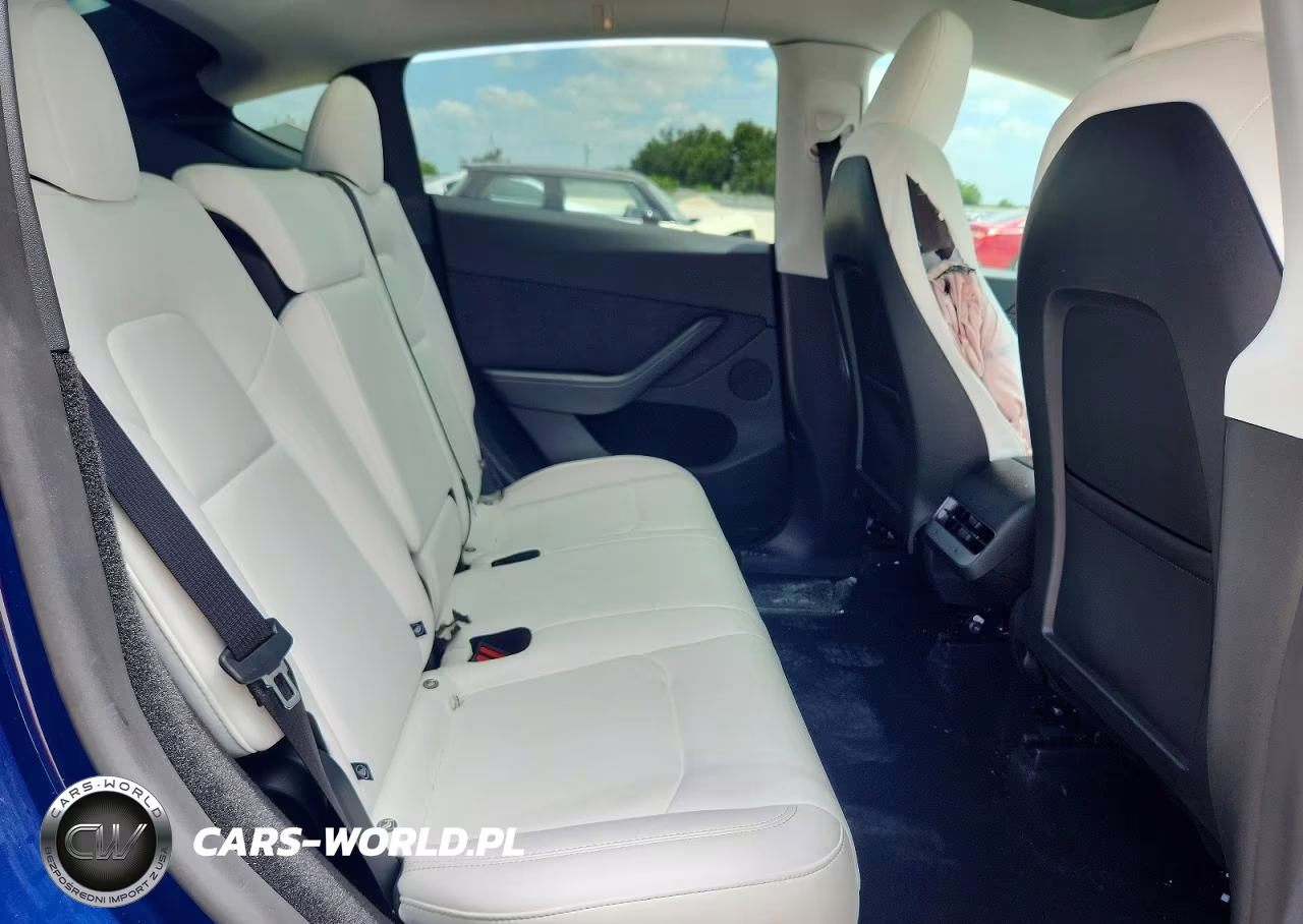 2024 Tesla Model Y VIN:7SAYGDEE9RA333290 - 10