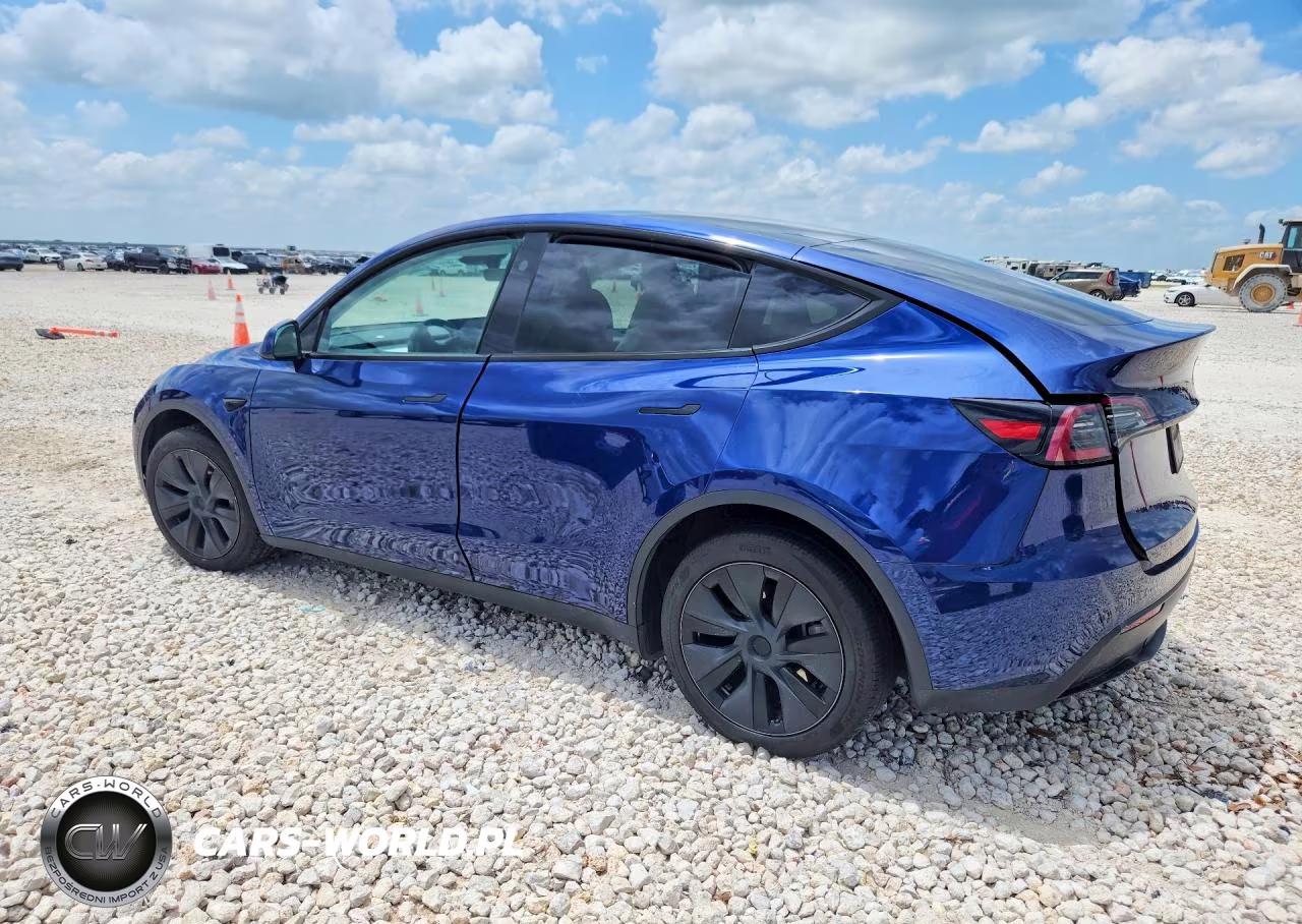 2024 Tesla Model Y VIN:7SAYGDEE9RA333290 - 2