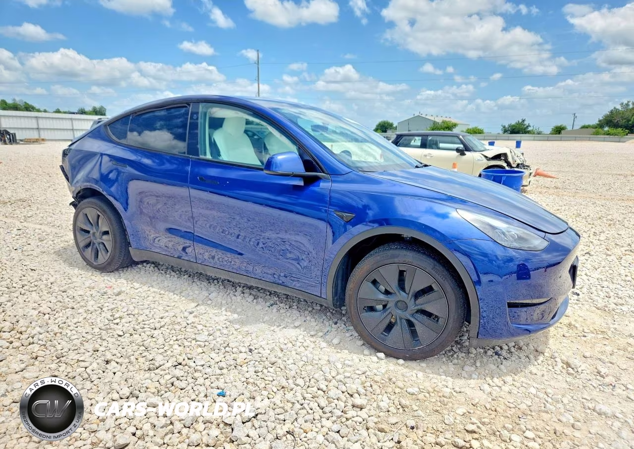 2024 Tesla Model Y VIN:7SAYGDEE9RA333290 - 4