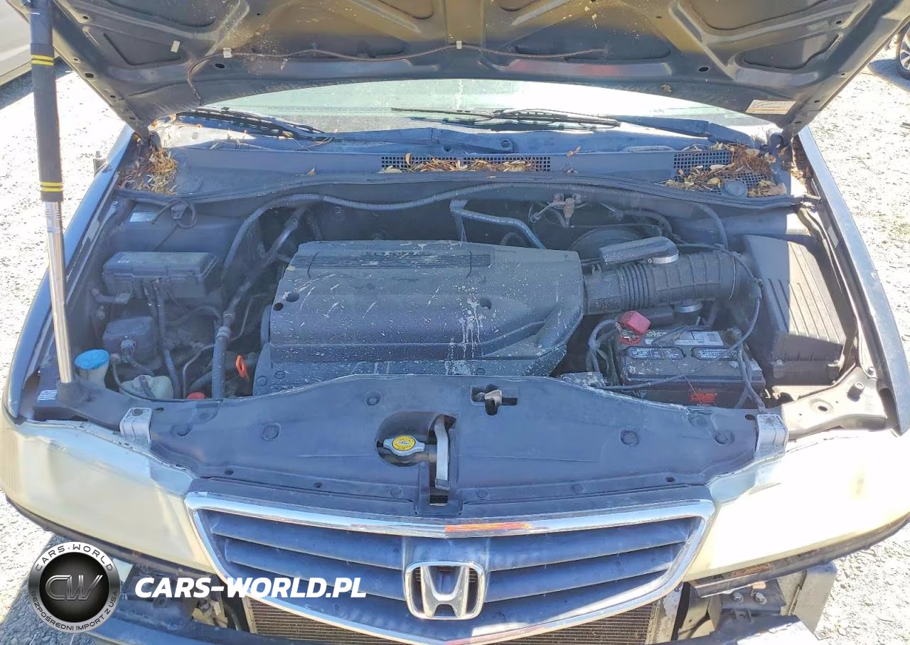 2004 Honda Odyssey Exl VIN:5FNRL18074B033626 - 12
