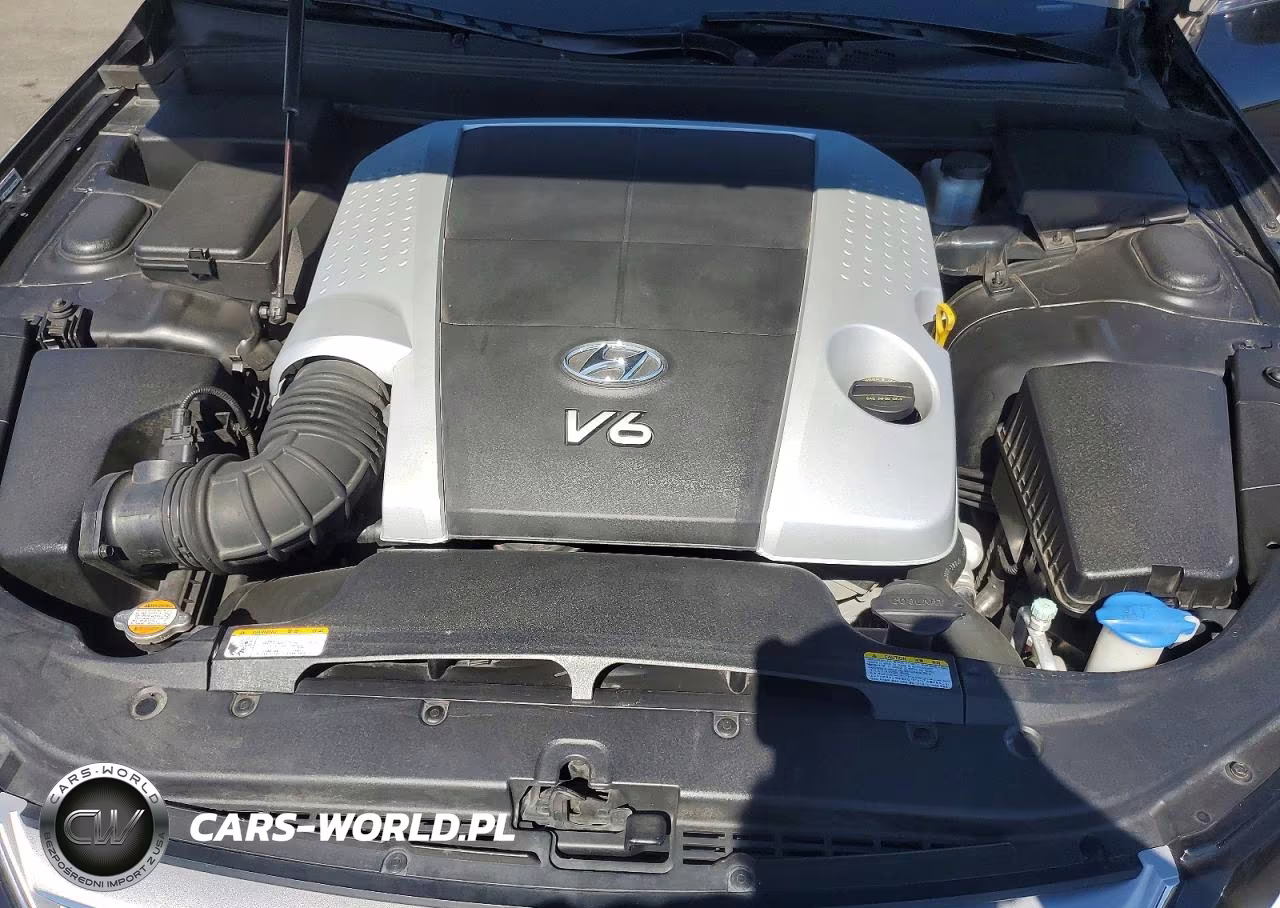 2009 Hyundai Genesis 3.8L VIN:KMHGC46E69U021775 - 11