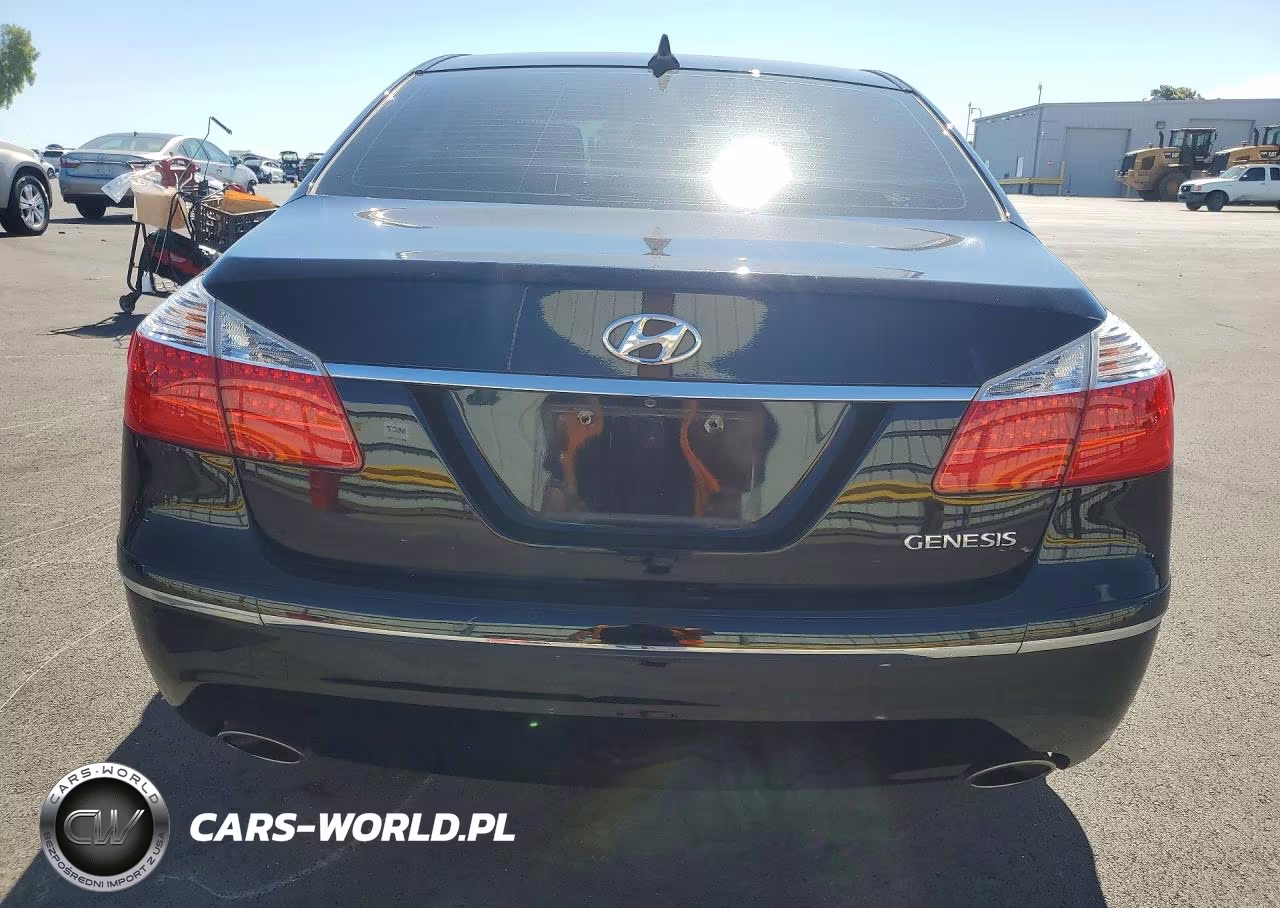 2009 Hyundai Genesis 3.8L VIN:KMHGC46E69U021775 - 6