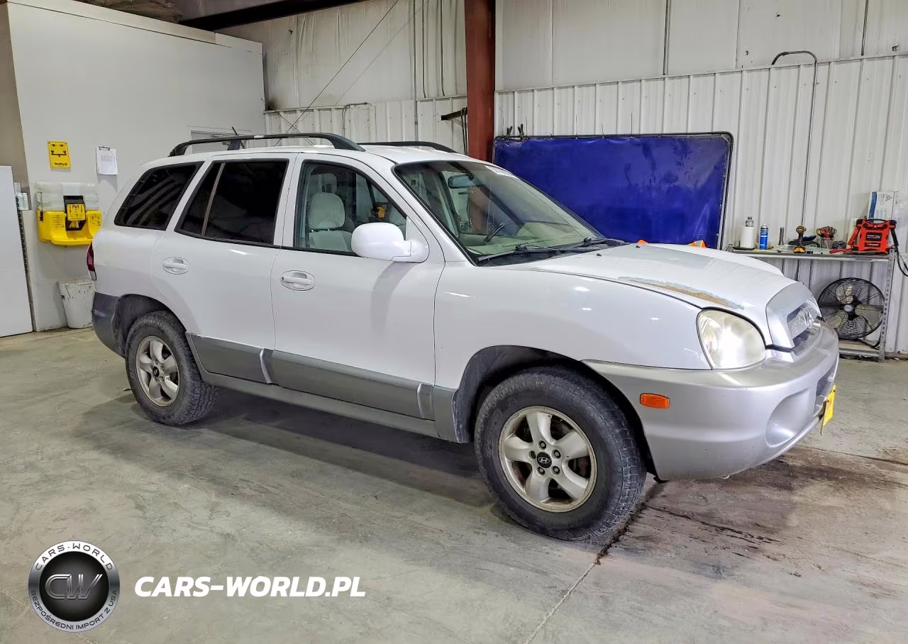 2005 Hyundai Santa Fe Gls VIN:KM8SC13D35U915828 - 4