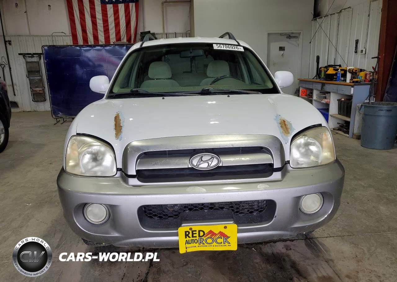 2005 Hyundai Santa Fe Gls VIN:KM8SC13D35U915828 - 5