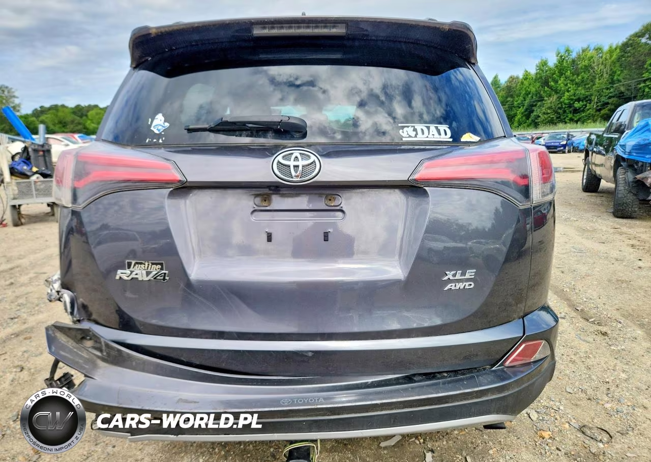 2017 Toyota Rav4 Xle VIN:JTMRFREV8HD209117 - 6