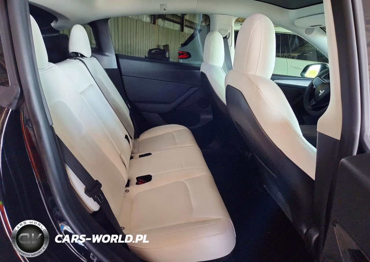 2023 Tesla Model Y VIN:7SAYGDEF1PF594809 - 10