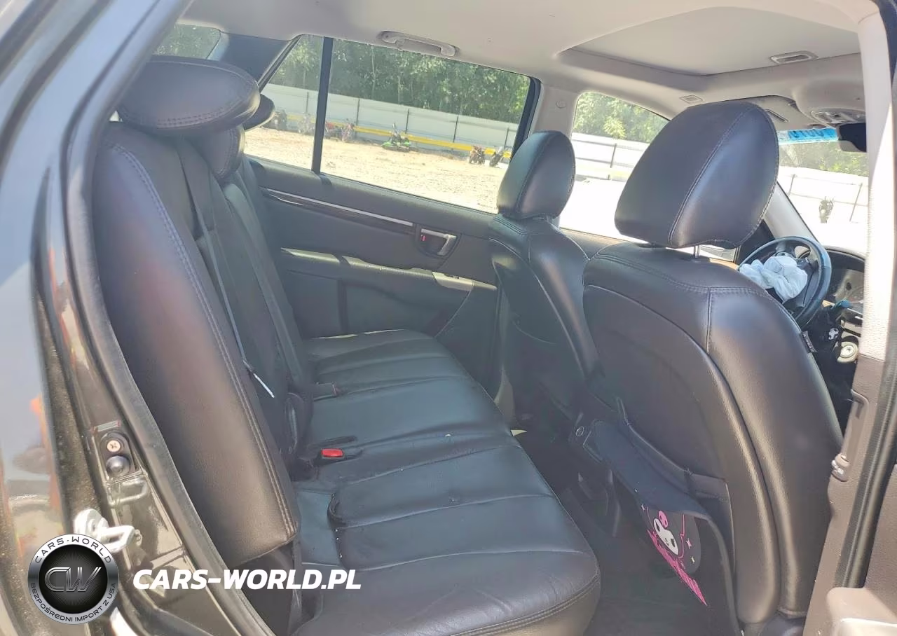 2010 Hyundai Santa Fe Limited VIN:5NMSK3AB9AH392045 - 11